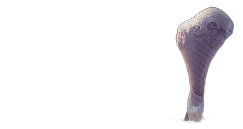 dress, umbrella, crown, creature transparent PNG cut-out