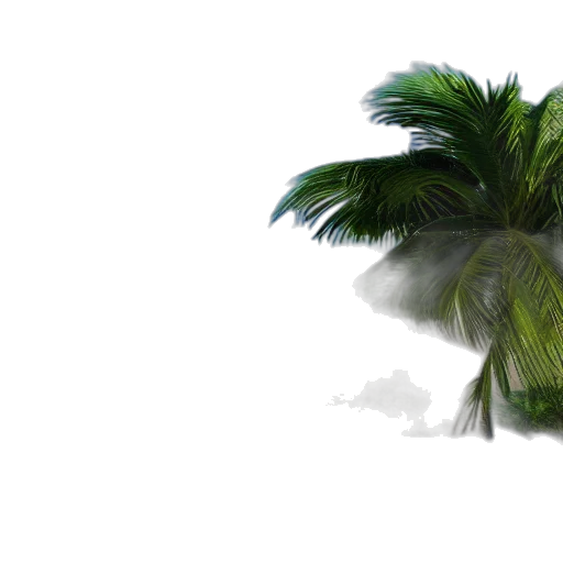 umbrella, tree, hair, hat transparent PNG cut-out
