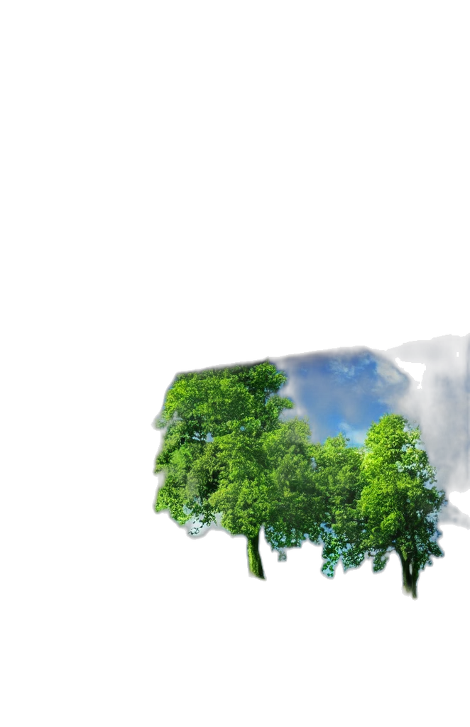 tree, umbrella, crown, furniture transparent PNG cut-out