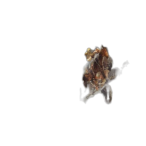 animal, dragon, creature, jewelry transparent PNG cut-out