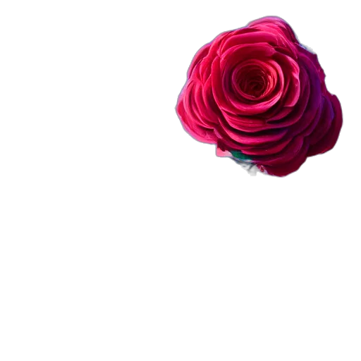 flower, crown, jewelry, dress, 3d render, photorealistic, pixel art, vaporwave transparent PNG cut-out