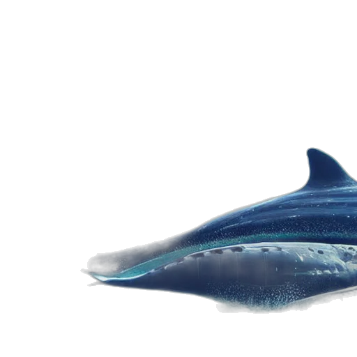 animal, creature, hat, weapon transparent PNG cut-out
