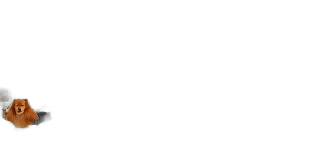 staff, face, monochrome, pastel transparent PNG cut-out