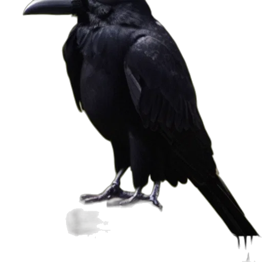 animal, staff, creature, mask transparent PNG cut-out