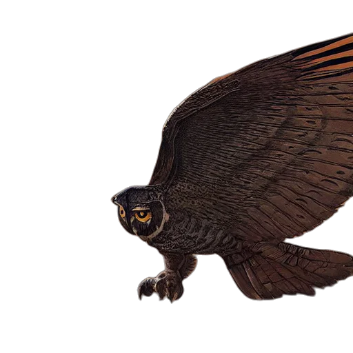 dragon, animal, creature, concept art transparent PNG cut-out