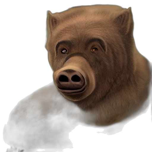 animal, creature, mask, face transparent PNG cut-out