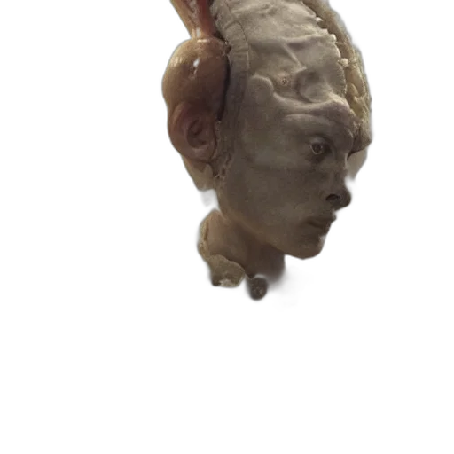 mask, face, creature, hair transparent PNG cut-out