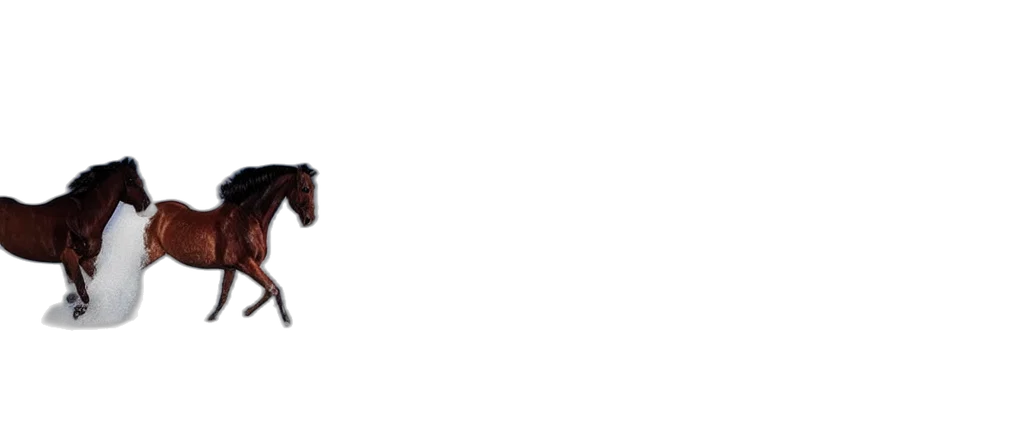 shoes, staff, weapon, furniture, pixel art, 3d render, photorealistic, concept art transparent PNG cut-out