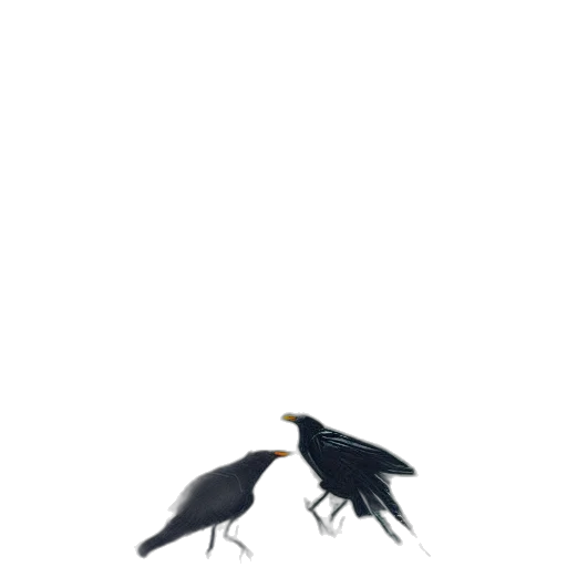 animal, umbrella, creature, shoes transparent PNG cut-out