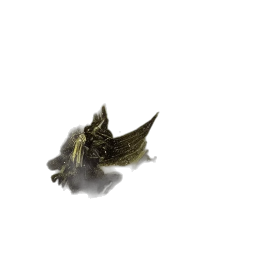 dragon, creature, animal, hair transparent PNG cut-out