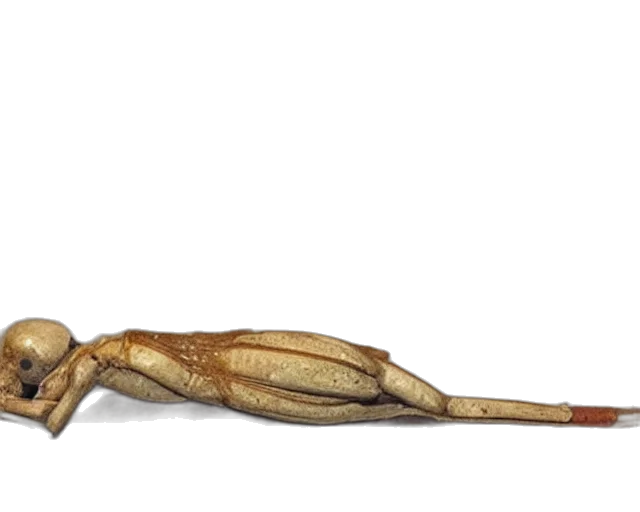 staff, animal, creature, food transparent PNG cut-out