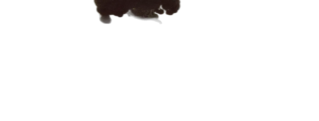 animal, hair, creature, staff transparent PNG cut-out