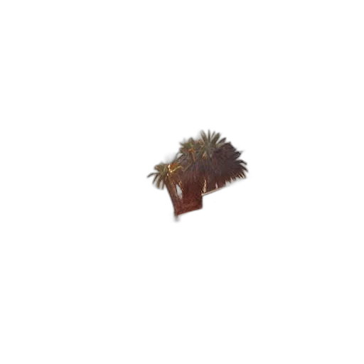 hair, crown, tree, hat transparent PNG cut-out