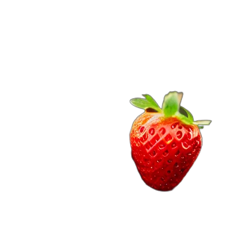 food, flower, crown, animal, 3d render, pixel art, photorealistic, concept art transparent PNG cut-out