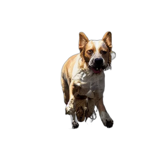 animal, staff, creature, face, photorealistic, 3d render, concept art, pixel art transparent PNG cut-out
