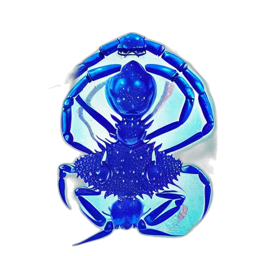 jewelry, crown, animal, mask transparent PNG cut-out