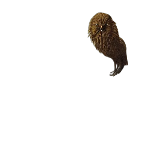 hair, animal, creature, mask transparent PNG cut-out