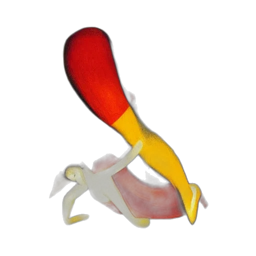 weapon, staff, animal, shoes transparent PNG cut-out