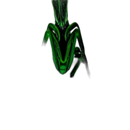 creature, animal, dragon, staff, 3d render, concept art, photorealistic, pixel art transparent PNG cut-out
