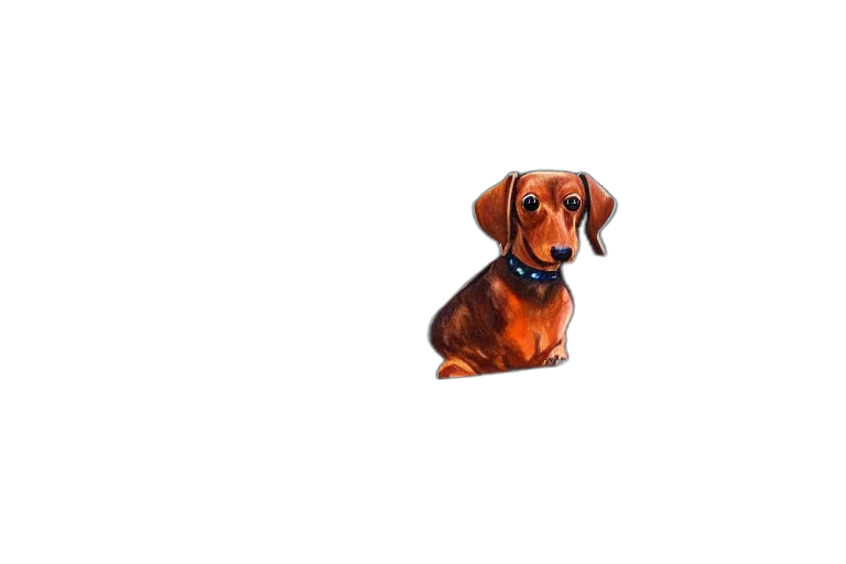 animal, staff, creature, face transparent PNG cut-out