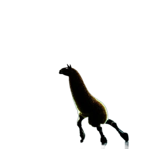 animal, creature, dragon, staff transparent PNG cut-out
