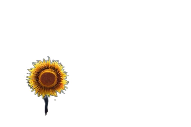 flower, umbrella, staff, crown transparent PNG cut-out