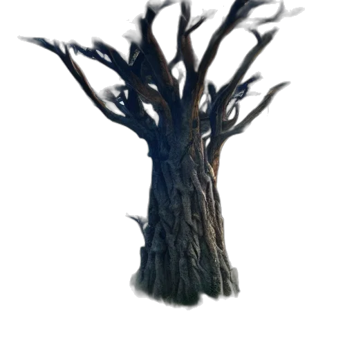tree, hair, creature, crown transparent PNG cut-out