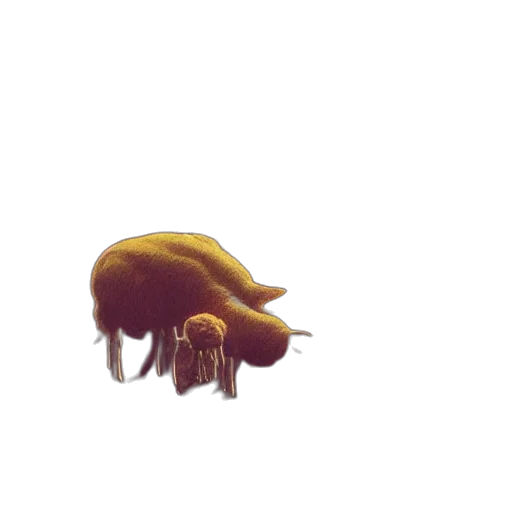 creature, animal, hair, hat, 3d render, concept art, pixel art, photorealistic transparent PNG cut-out