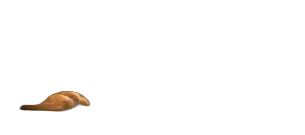 shoes, furniture, hat, food transparent PNG cut-out