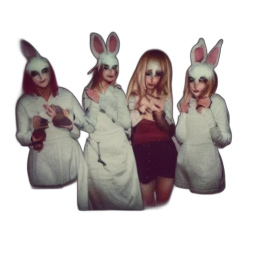 polaroid, photo, rabbit, cosplayers transparent PNG cut-out