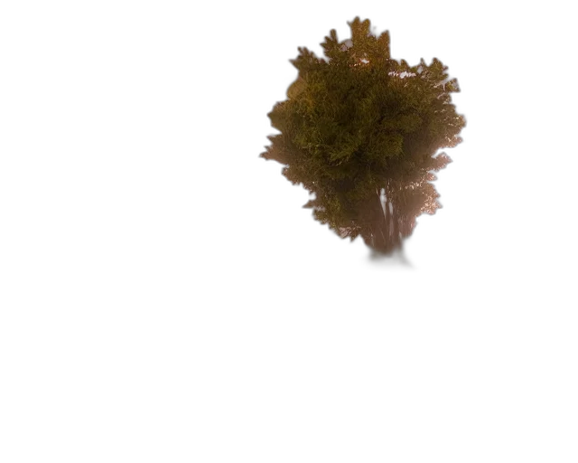tree, hair, crown, creature, 3d render, photorealistic, concept art, underwater transparent PNG cut-out