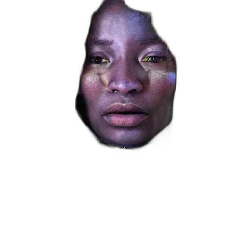 face, mask, creature, animal, photorealistic, 3d render, concept art, colourful transparent PNG cut-out