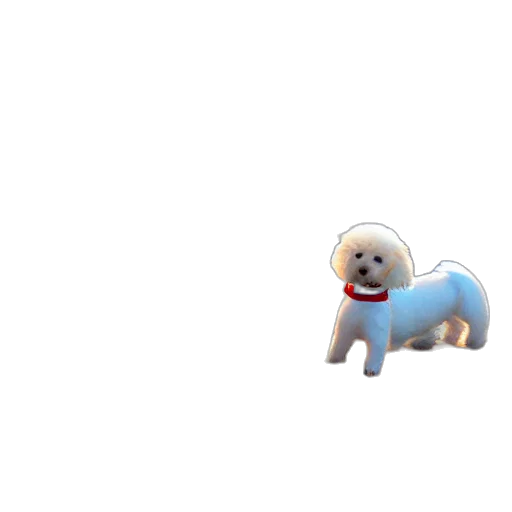 animal, creature, staff, robot, 3d render, pixel art, concept art, vaporwave transparent PNG cut-out