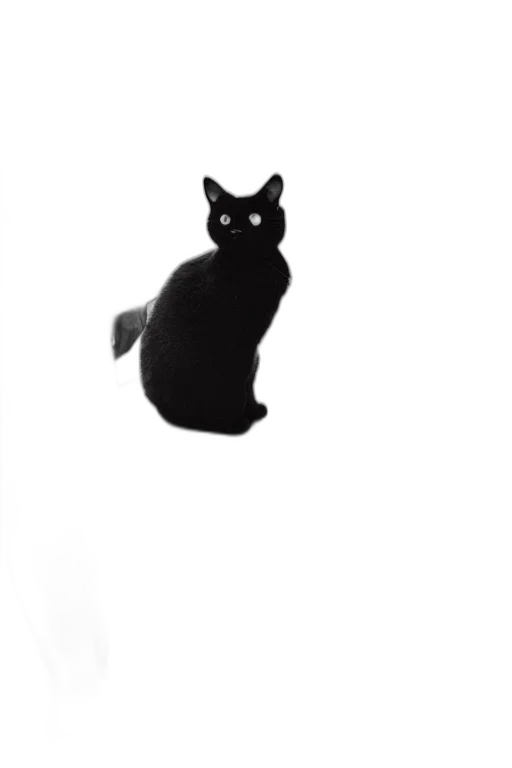animal, creature, dress, staff transparent PNG cut-out