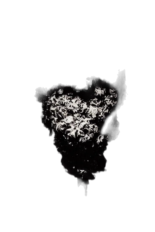crown, mask, hair, tree, concept art, photorealistic, pixel art, pencil sketch transparent PNG cut-out