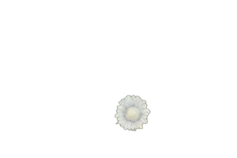 flower, jewelry, crown, weapon, pixel art, 3d render, concept art, photorealistic transparent PNG cut-out