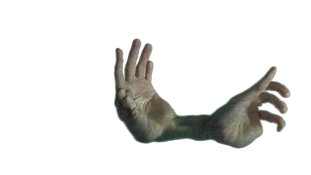 creature, mask, hair, animal transparent PNG cut-out