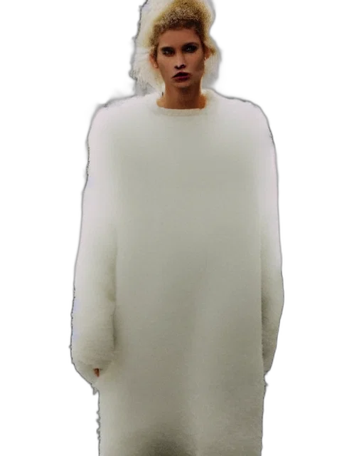 jacket, creature, dress, animal, concept art, 3d render, woman, wearing transparent PNG cut-out