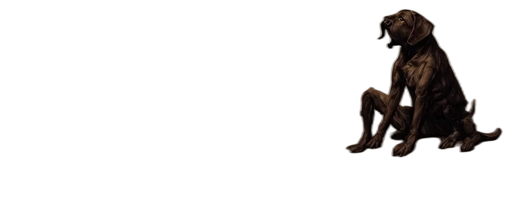 hair, shoes, staff, animal transparent PNG cut-out