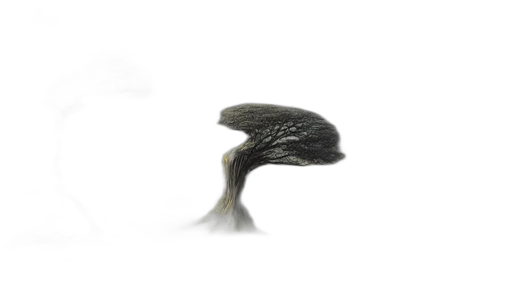 hair, hat, crown, animal, photorealistic, 3d render, concept art, oil painting transparent PNG cut-out