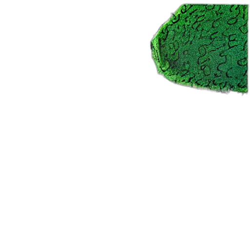 tree, hat, crown, hair, pixel art, 3d render, concept art, photorealistic transparent PNG cut-out