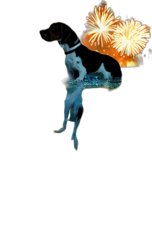 animal, staff, umbrella, flower, photorealistic, concept art, 3d render, fantasy art transparent PNG cut-out