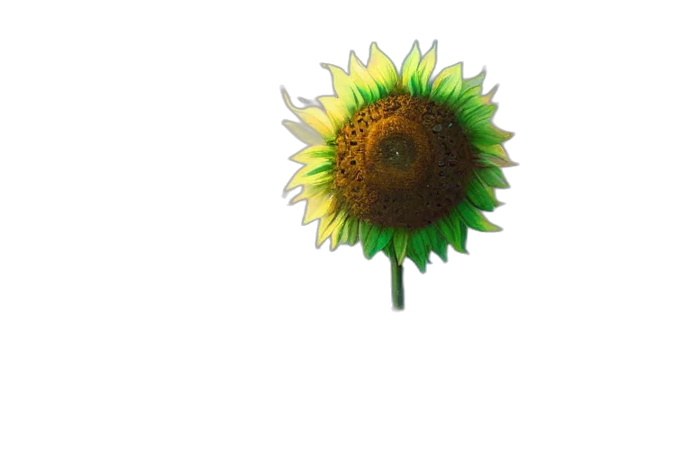 flower, staff, crown, umbrella, 3d render, photorealistic, concept art, pixel art transparent PNG cut-out