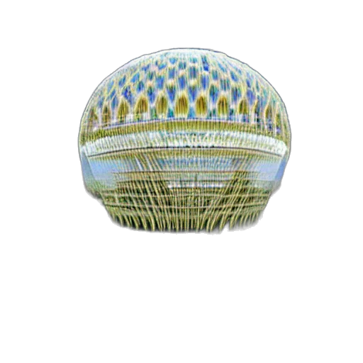 hat, jewelry, furniture, bottle transparent PNG cut-out