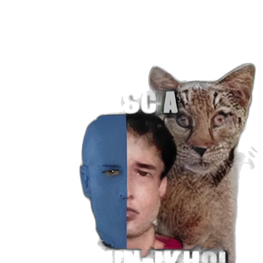 animal, mask, creature, face, concept art, photorealistic, blue, pic transparent PNG cut-out