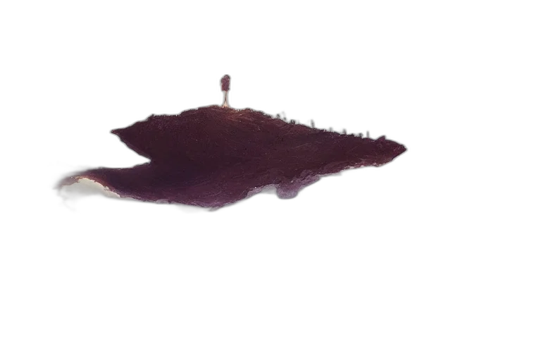 crown, staff, hair, hat, 3d render, photorealistic, concept art, underwater transparent PNG cut-out