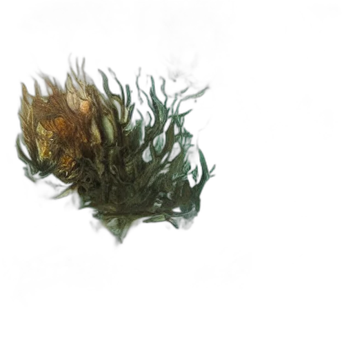 dragon, crown, creature, hair, 3d render, concept art, photorealistic, fantasy art transparent PNG cut-out