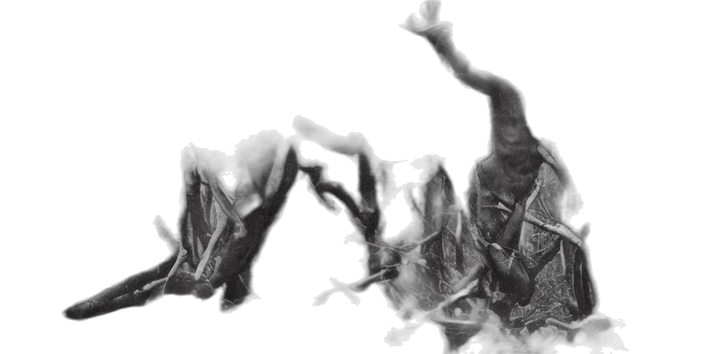 mask, dragon, creature, crown transparent PNG cut-out