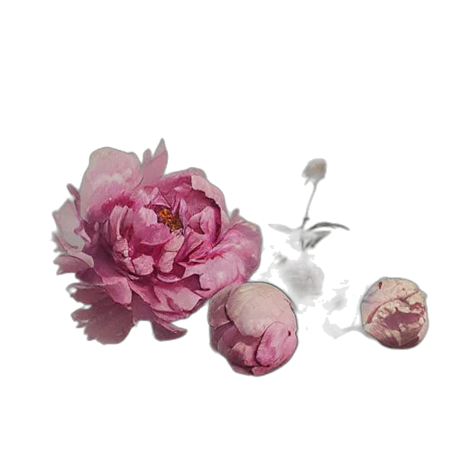 flower, jewelry, crown, photorealistic, 3d render, oil painting, watercolor, pastel transparent PNG cut-out