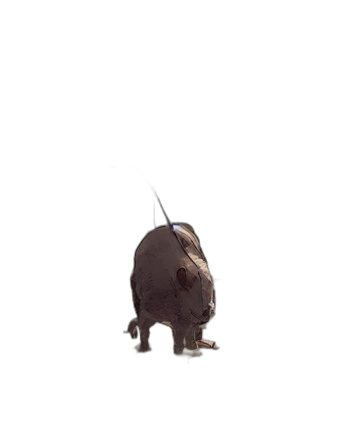 animal, creature, staff, hat transparent PNG cut-out